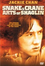 Shaolin’in Yılan Ve Turna Tekniği 720p izle